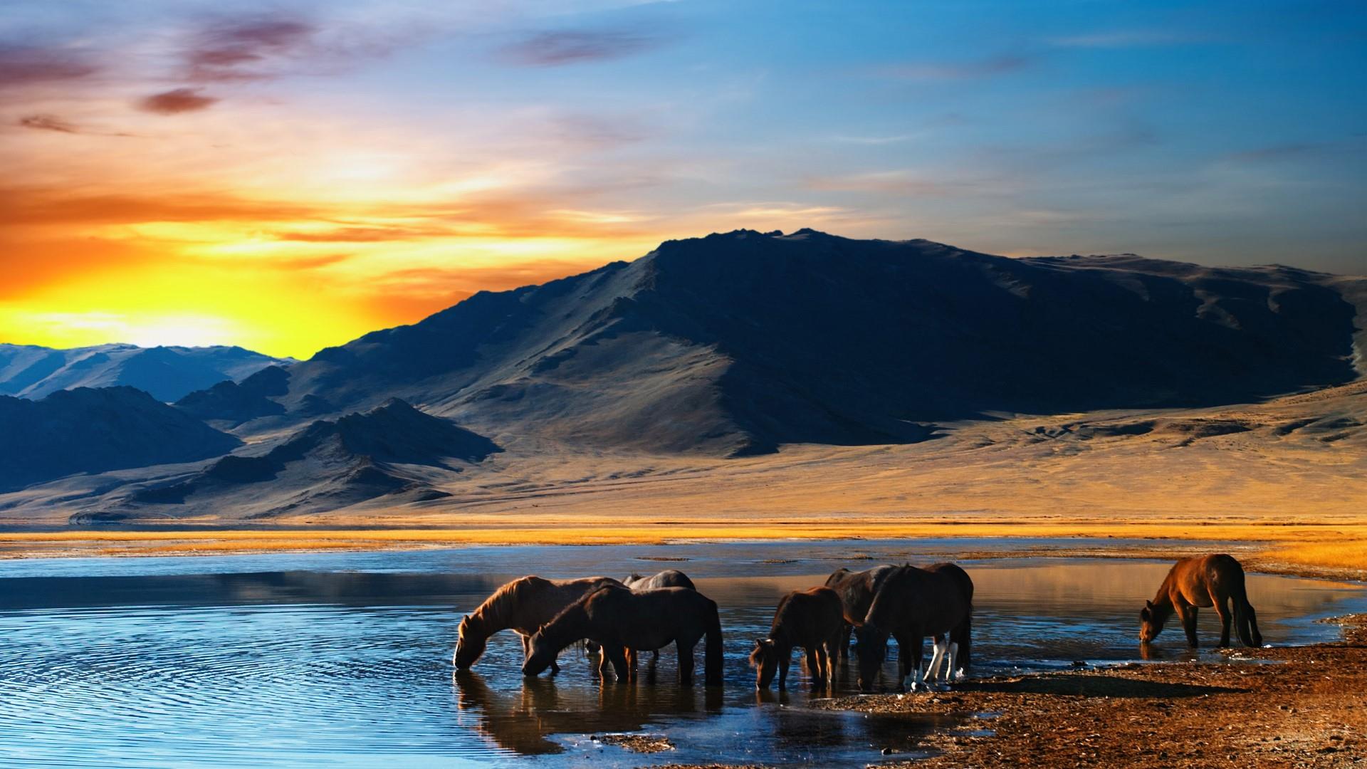 Mongolia Desktop Wallpaper