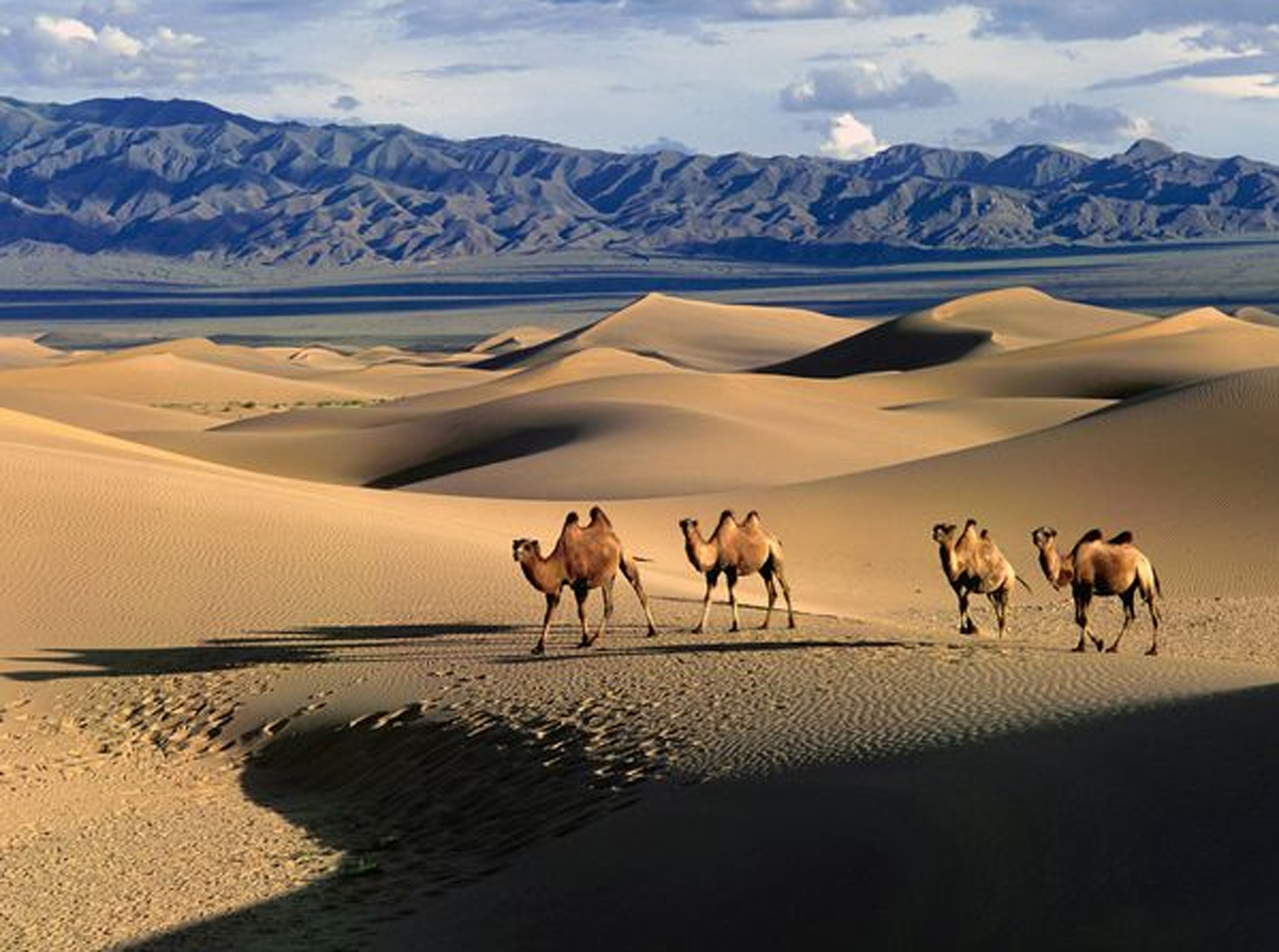 Mongolia Desktop Wallpaper