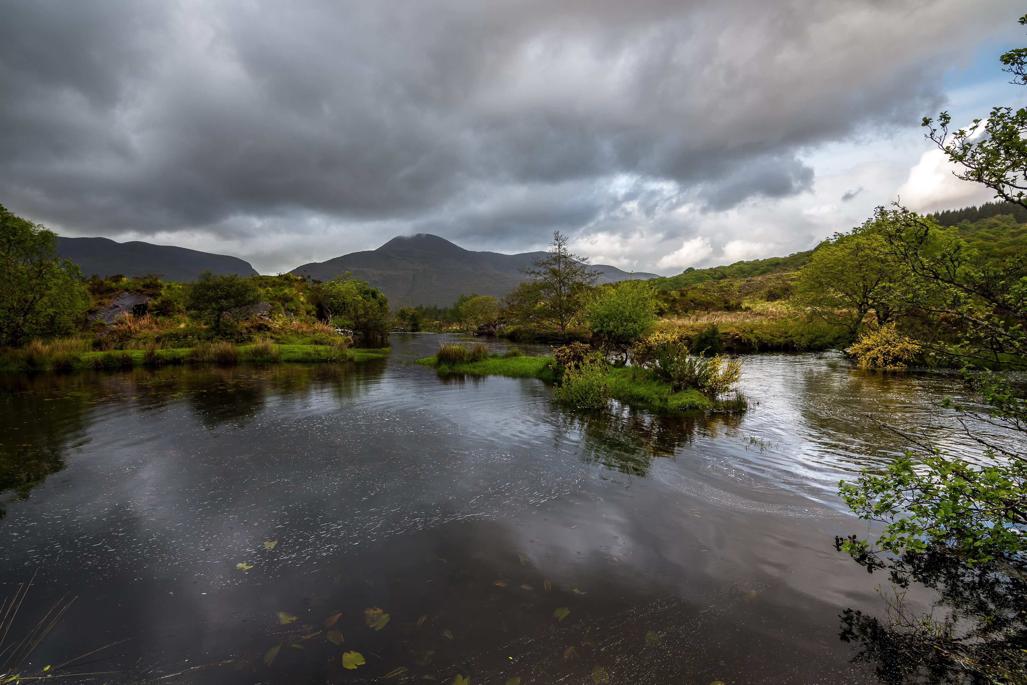 Killarney National Park Ireland HD wallpaper