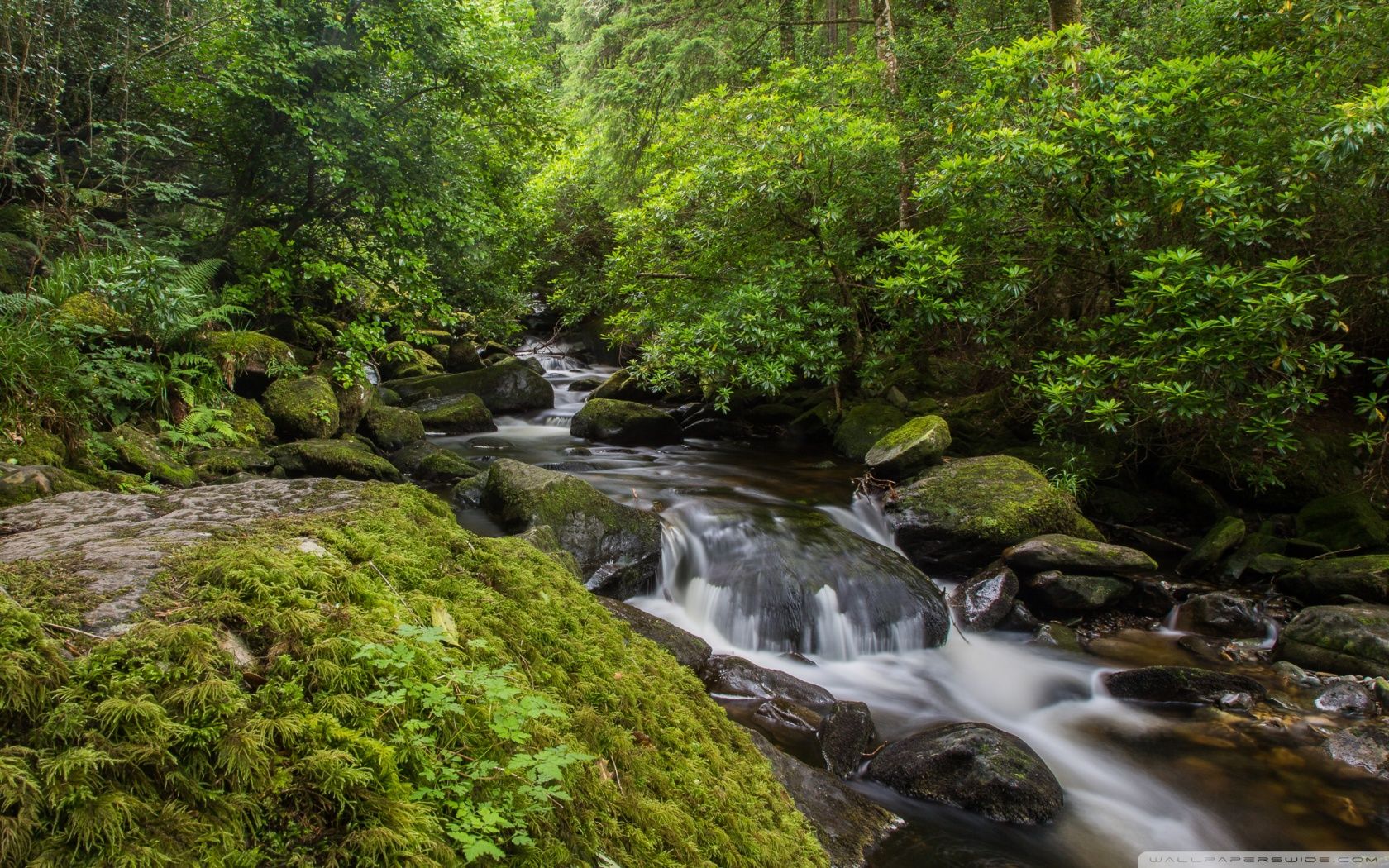Killarney Ireland Wallpaper