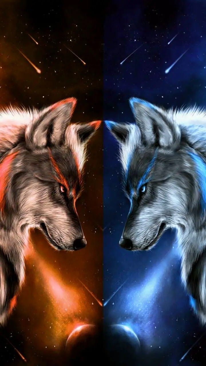 Mis Pines guardados. Wolf wallpaper, Wolf spirit animal, Wolf background. Wolf spirit animal, Wallpaper, Wolf wallpaper