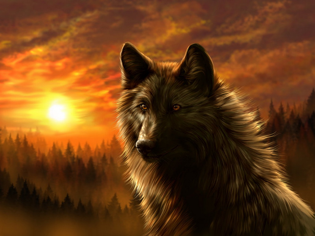 Free download Dark Wolf Wallpaper Best HD Wallpaper [1024x768] for your Desktop, Mobile & Tablet. Explore Wolf Background. Free Wolf Wallpaper, Free Wolf Picture Wallpaper, Wolf Wallpaper
