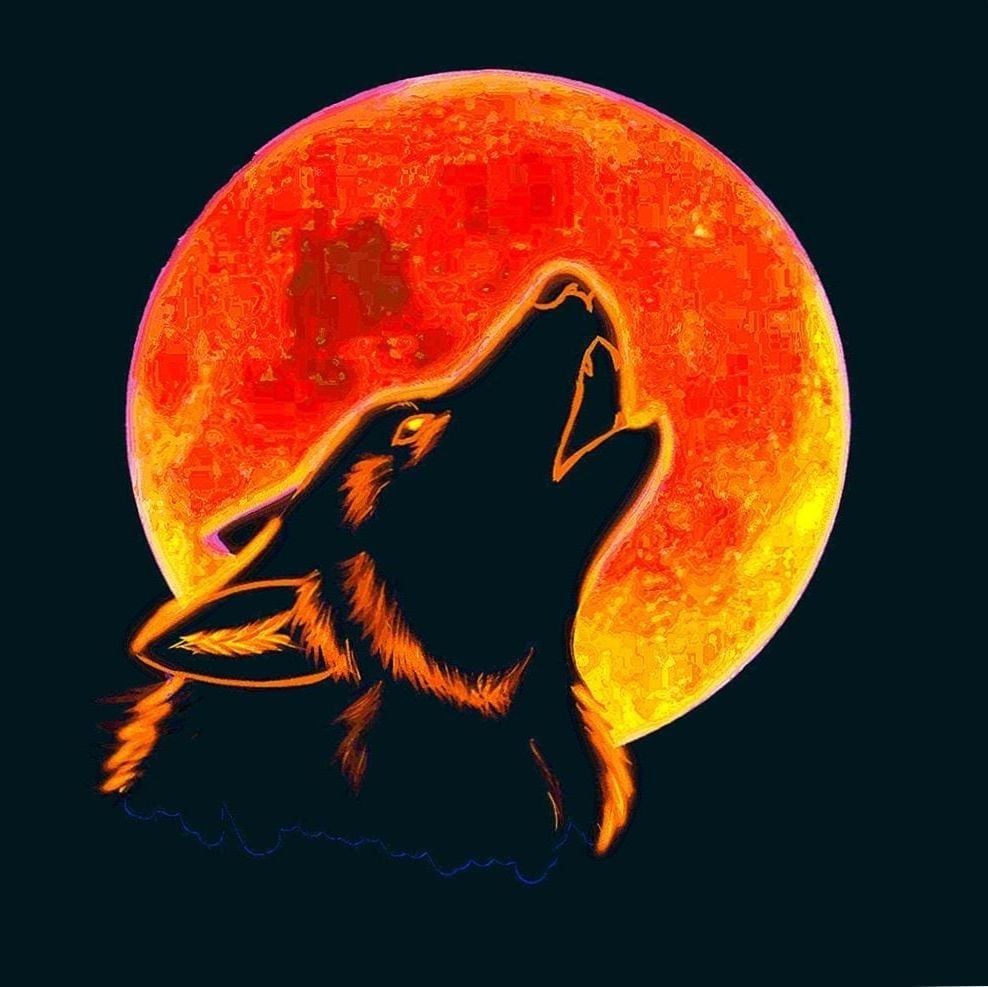 Wolf Howling At The Red Moon Wallpaper Wallpaper Popular Wolf Howling At The Red Moon Wallpaper Background
