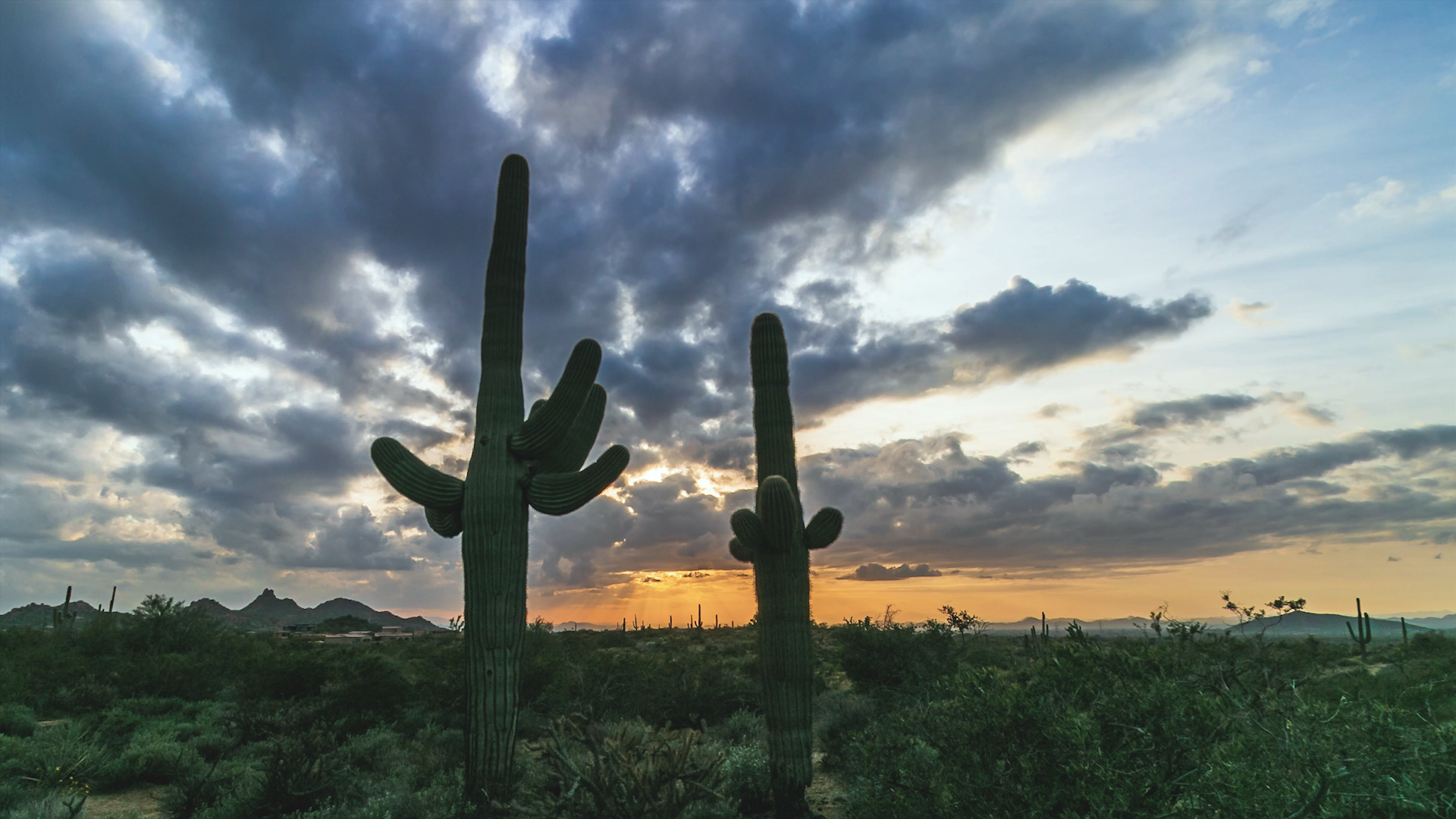 Arizona Sonoran Desert Sunset Time lapse. Desert landscape photography, Sunset wallpaper, Best background image