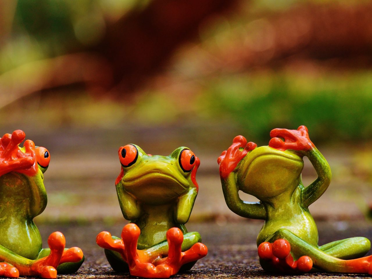 Cute Green Frogs With Red Eyes 3 D Wallpaper HD 3840x2160, Wallpaper13.com