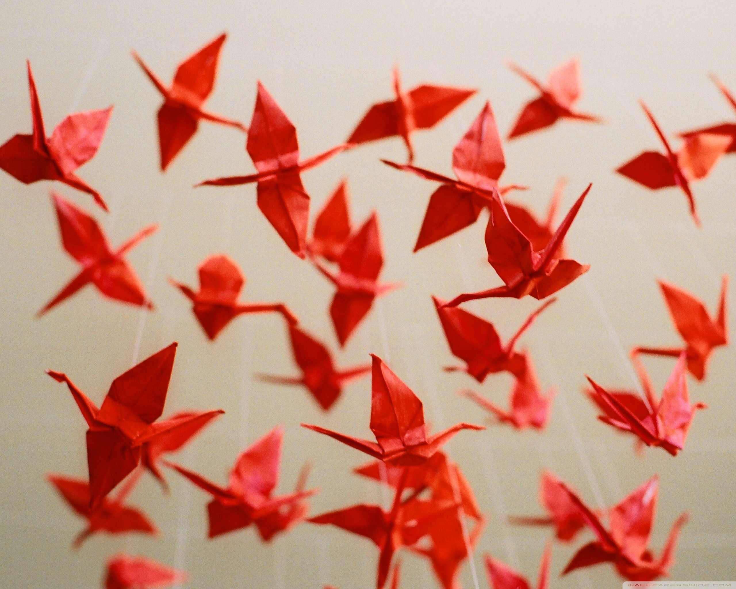 Paper Cranes Ultra HD Desktop Background Wallpaper for 4K UHD TV, Widescreen & UltraWide Desktop & Laptop, Tablet
