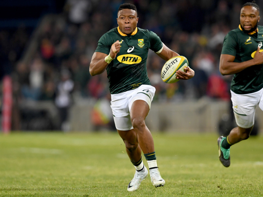 South Africa Rugby Winger 2019