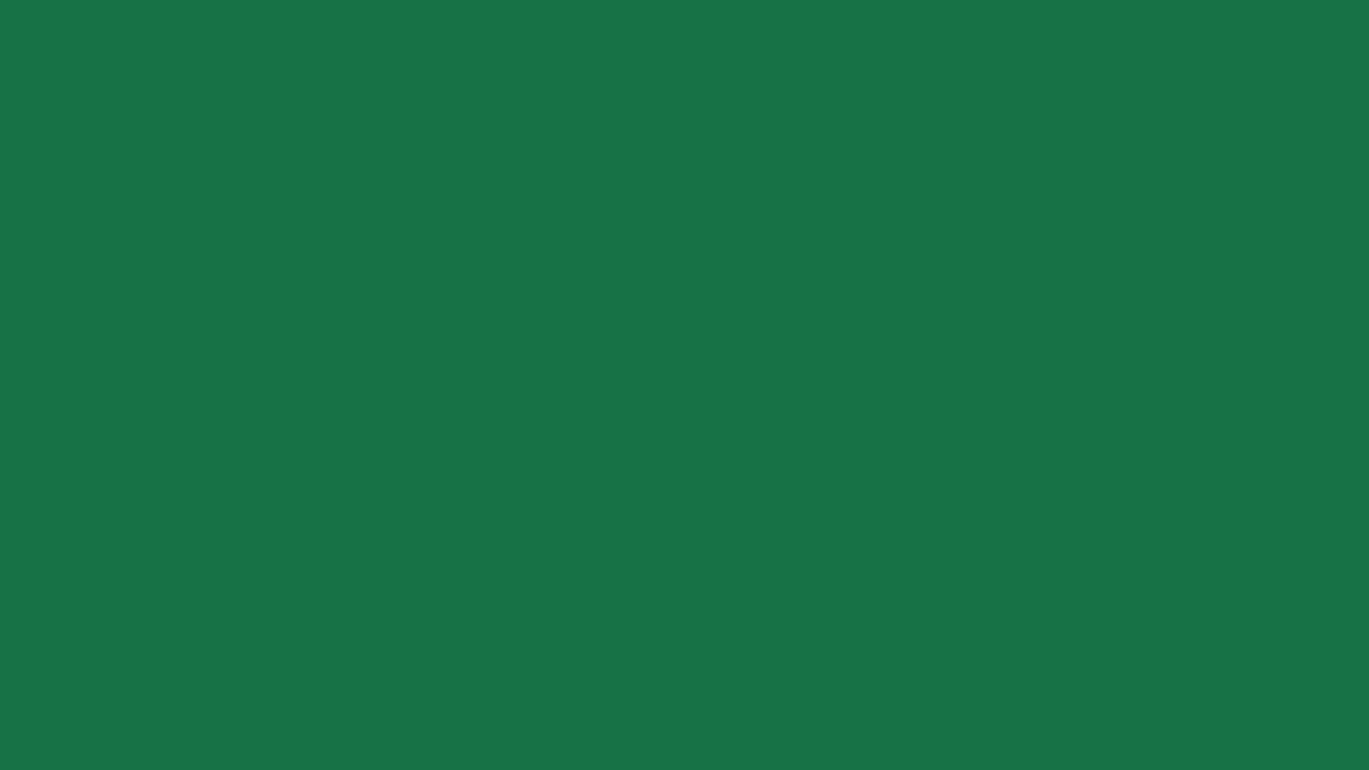 Dark Spring Green Solid Color Background