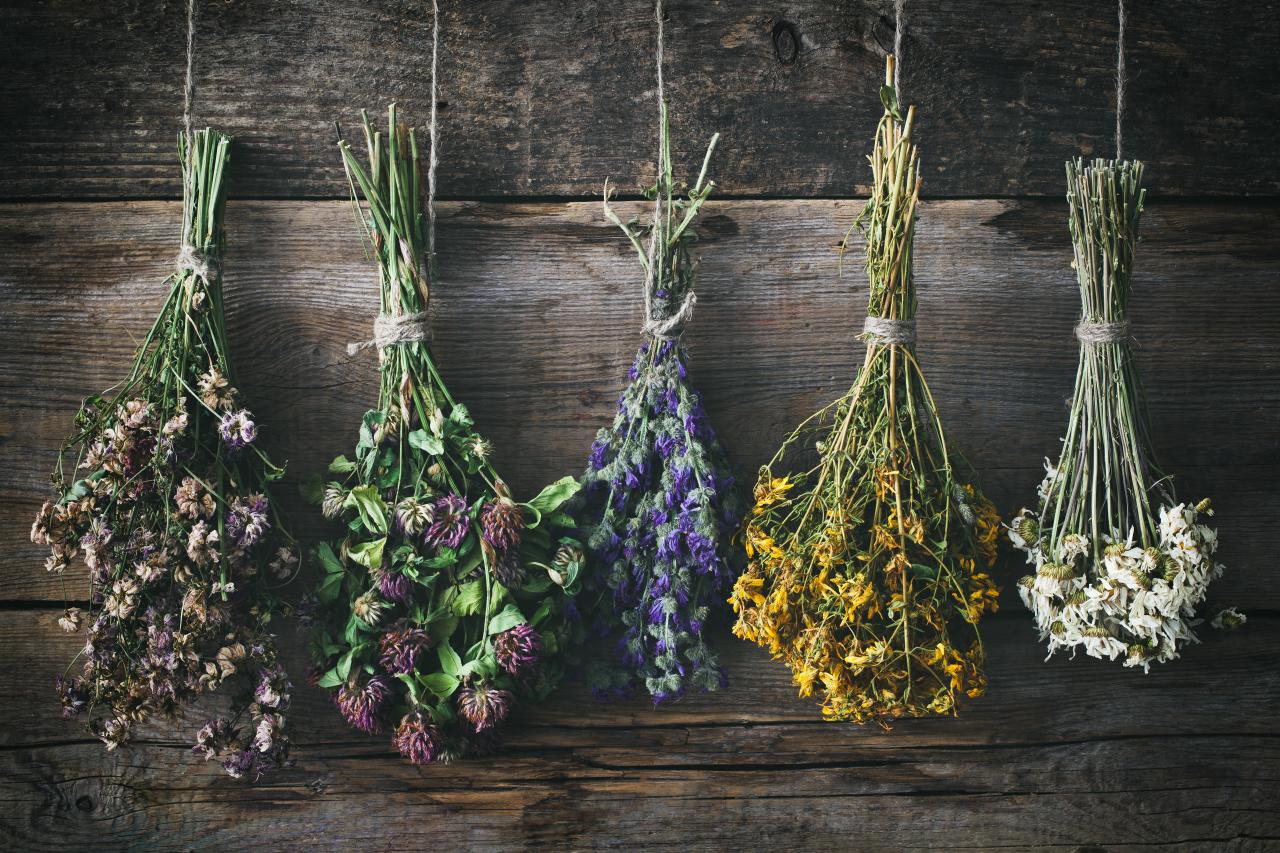 How to Preserve Flowers by Drying, Pressing and More