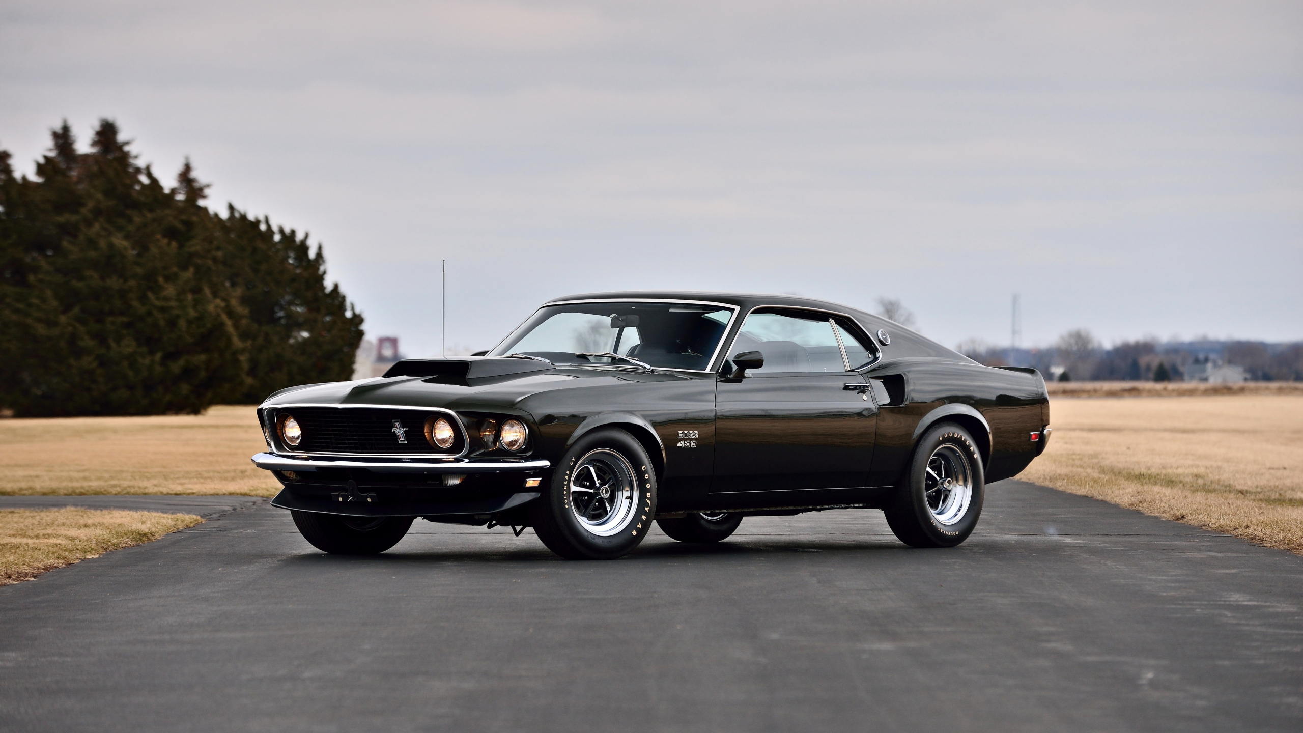 Download classic, black, muscle car, ford mustang boss 429 2560x1440 wallpaper, dual wide 16:9 2560x1440 HD image, background, 8261