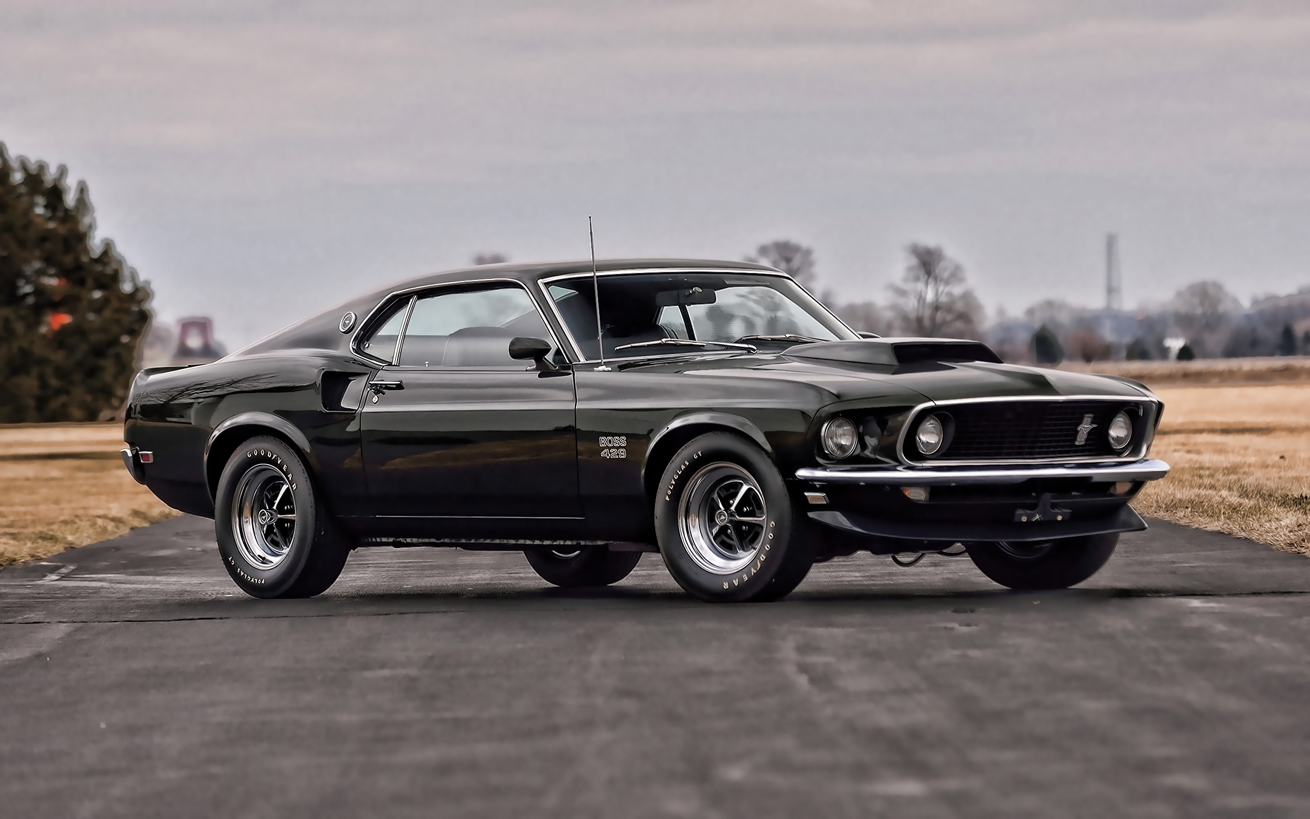 Download wallpaper Ford Mustang Boss exterior, retro cars, dark green Mustang Boss american classic cars, Boss 429 Mustang, Ford for desktop with resolution 2560x1600. High Quality HD picture wallpaper
