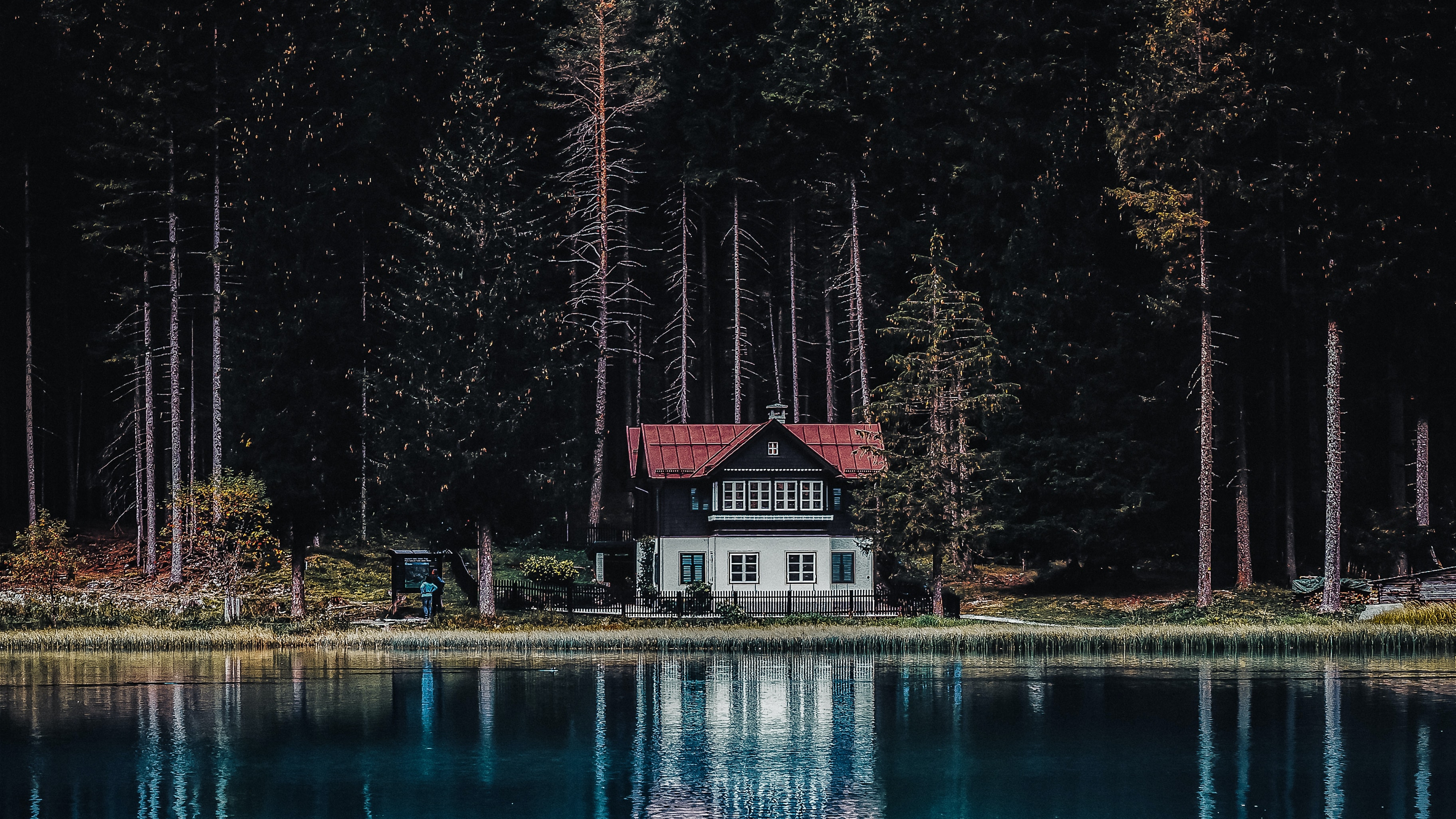 Dark Forest Wallpaper 4K, House, Tall Trees, Woods, Lake, Body of Water, Nature