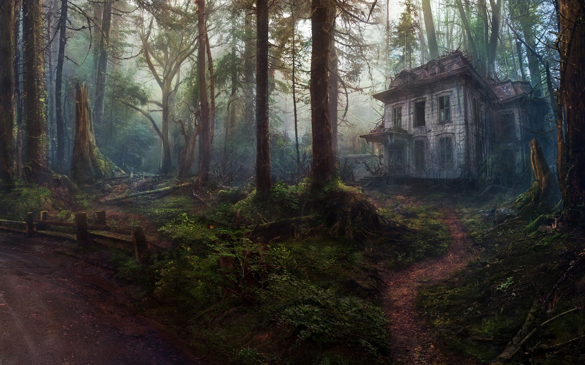 Old House in the Forest HD Wallpaper