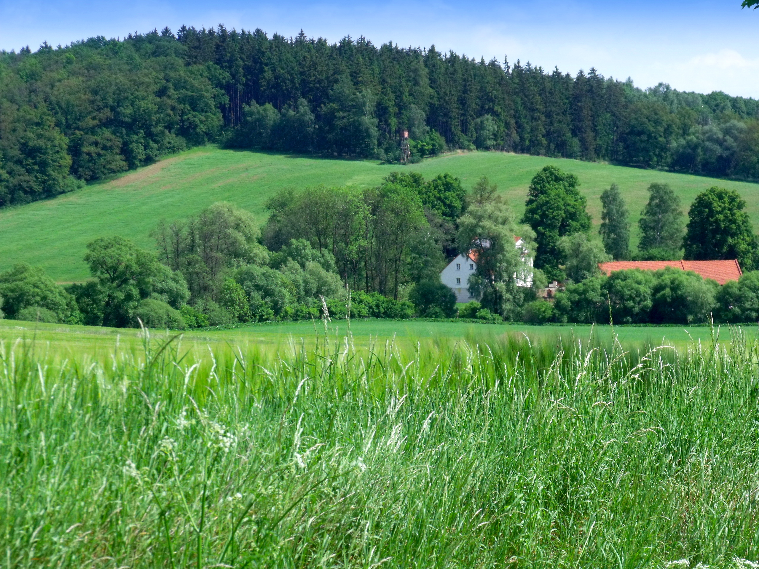 House Near the Forest wallpaper. House Near the Forest