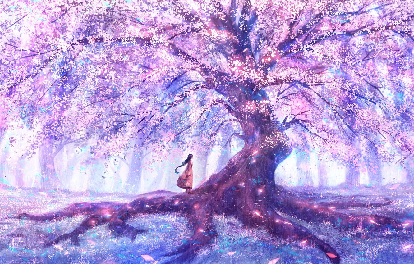 Wallpaper girl, nature, spring, Sakura image for desktop, section арт