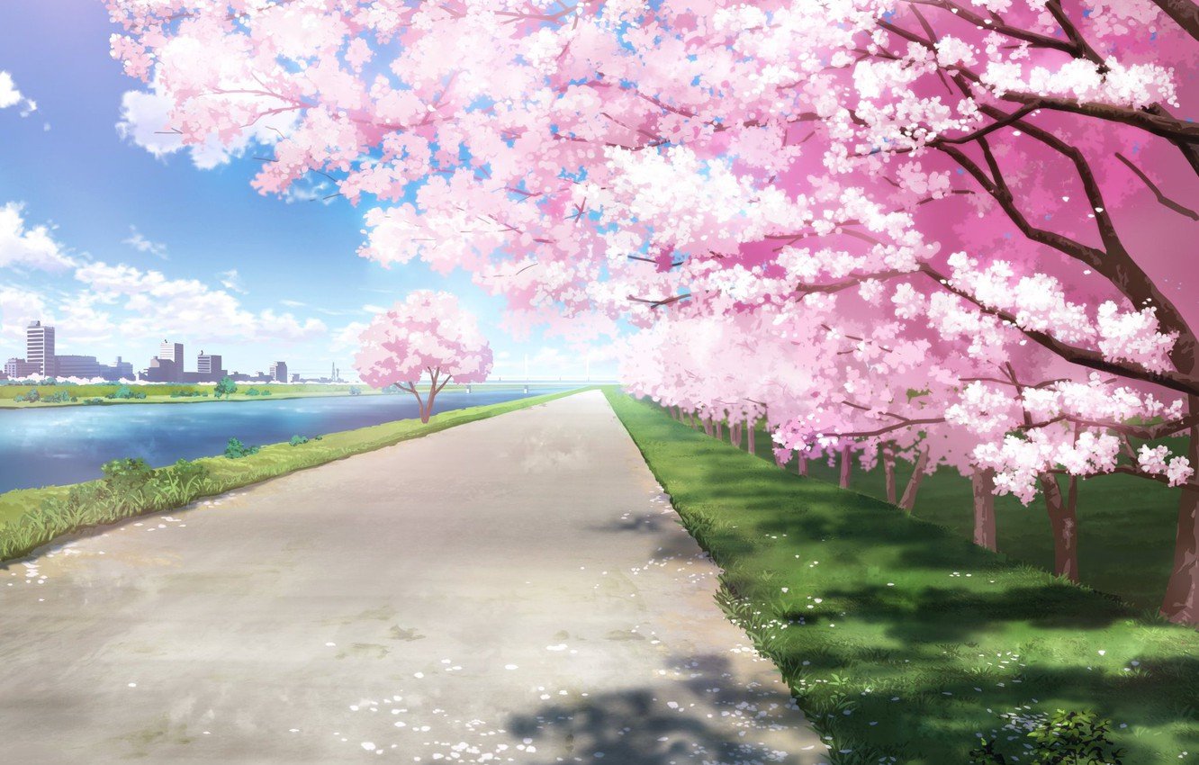 Wallpaper the city, river, spring, Sakura image for desktop, section арт