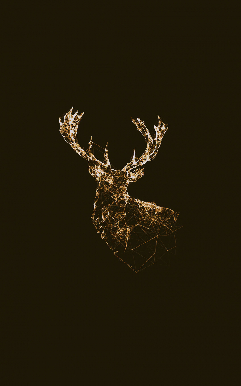 Free download Illustrated animal kingdom wallpaper [1080x1920] for your Desktop, Mobile & Tablet. Explore iPhone 6s Stock Wallpaper. Free Wallpaper for iPhone 6s, Dynamic Wallpaper for iPhone 6s, iPhone