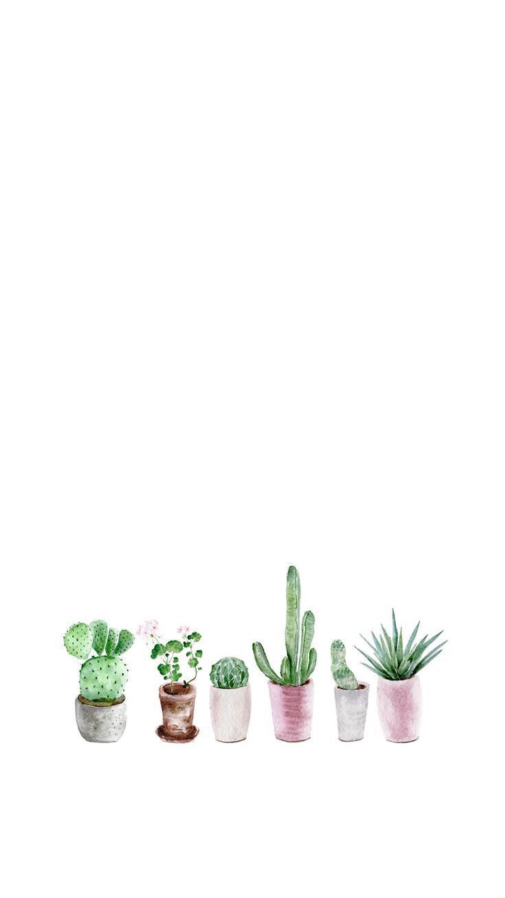 iPhone and Android Wallpaper: Succulent Watercolor Wallpaper for iPhone and Android. Simple iphone wallpaper, Succulents wallpaper, Watercolor wallpaper