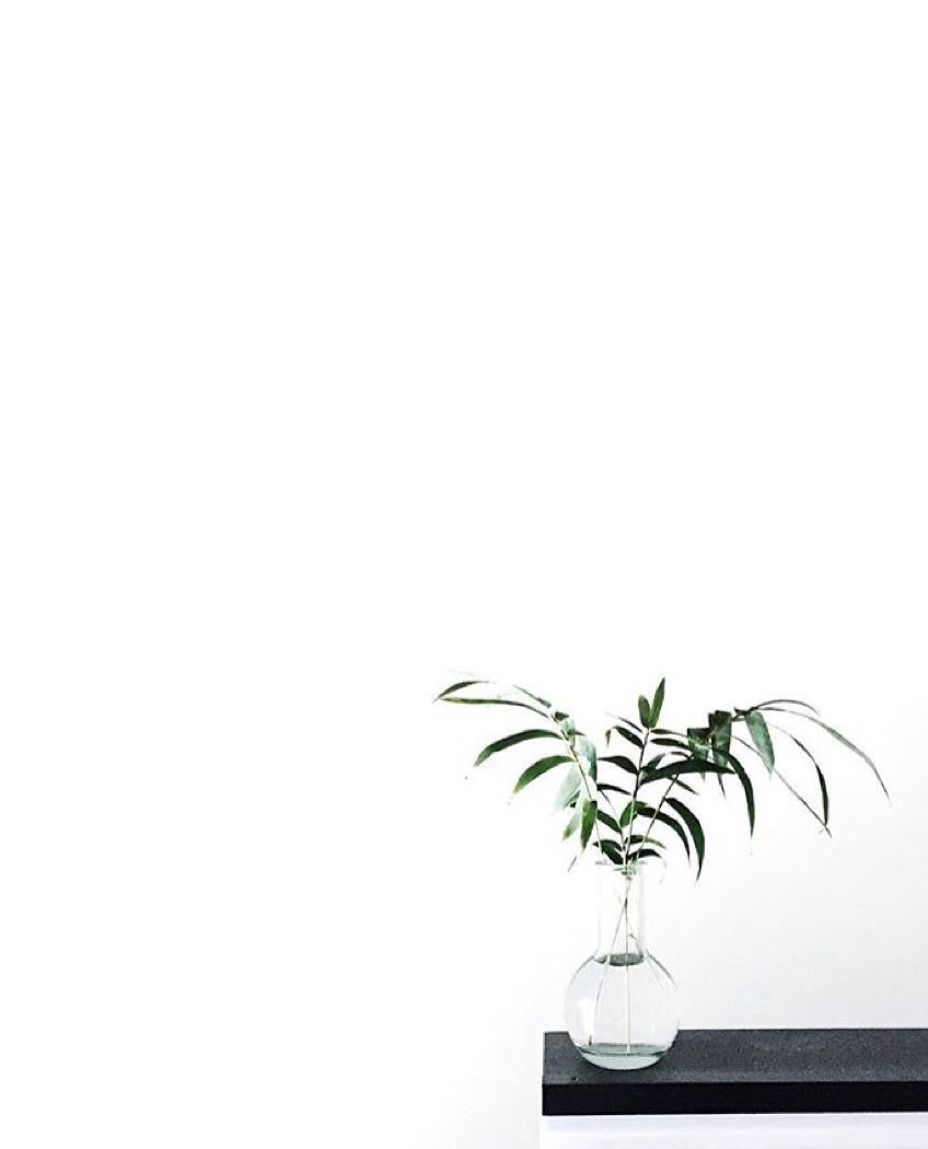 Aesthetic Flower Minimalist Aesthetic Laptop Wallpaper