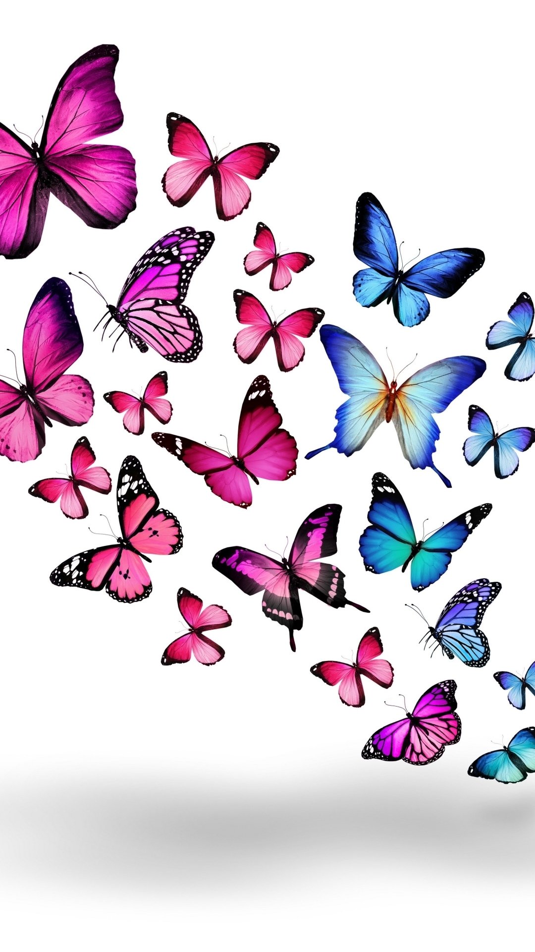 Artistic Butterfly