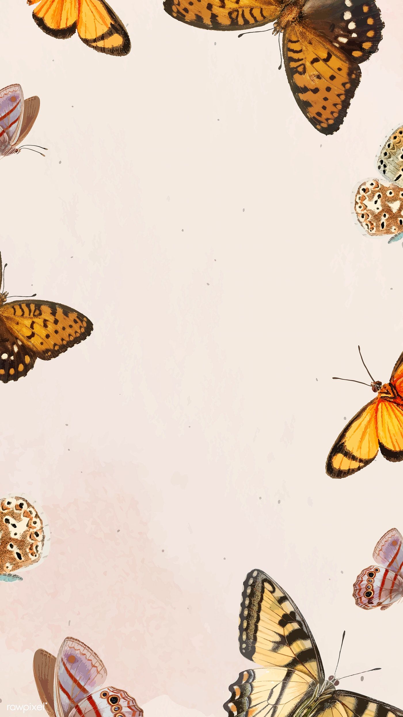 Butterfly patterned on white mobile phone wallpaper vector. premium image by ra. Butterfly wallpaper background, Butterfly wallpaper, Butterfly wallpaper iphone