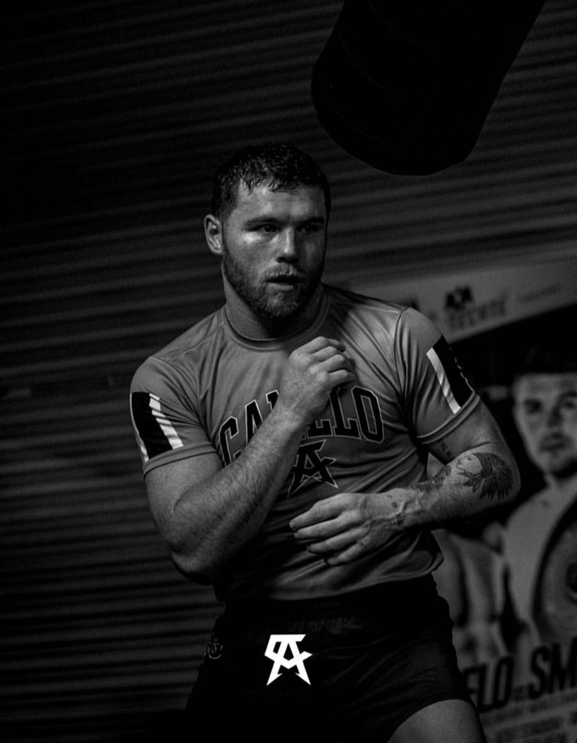 Canelo Alvarez Wallpaper