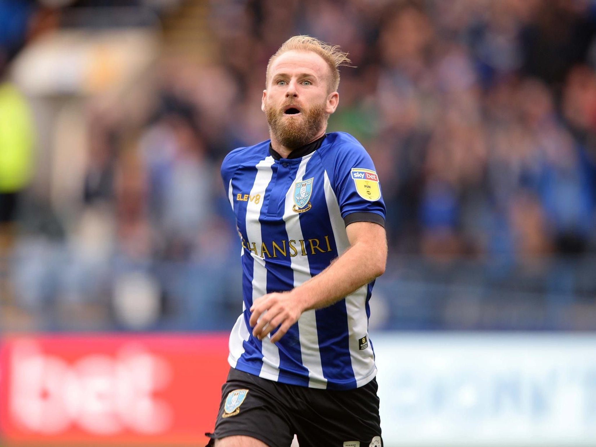 Sheffield Wednesday: Jos Luhukay on why the Owls need Barry Bannan