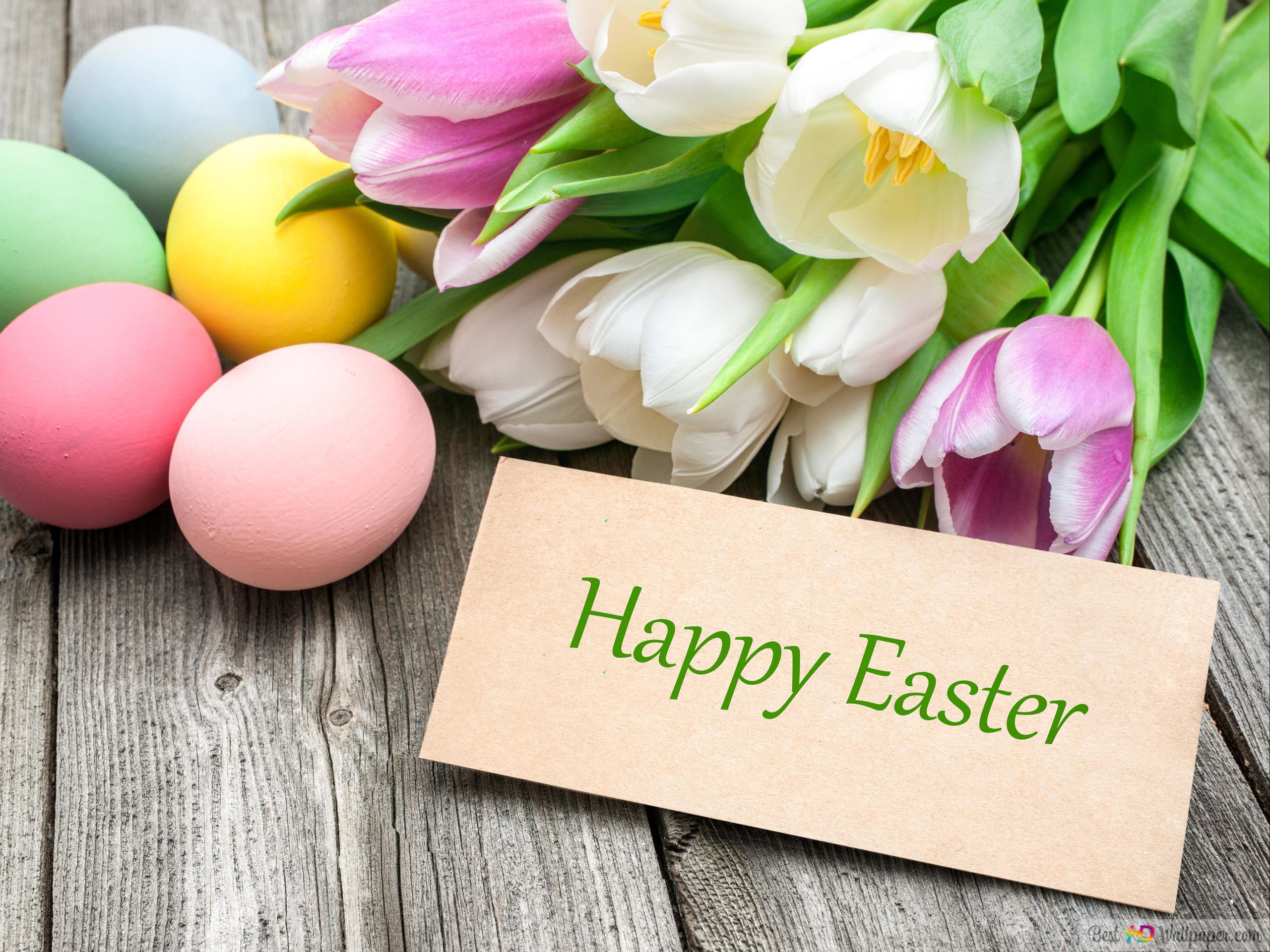 Happy Easter, Easter congratulation, Tulips, Easter eggs HD wallpaper download