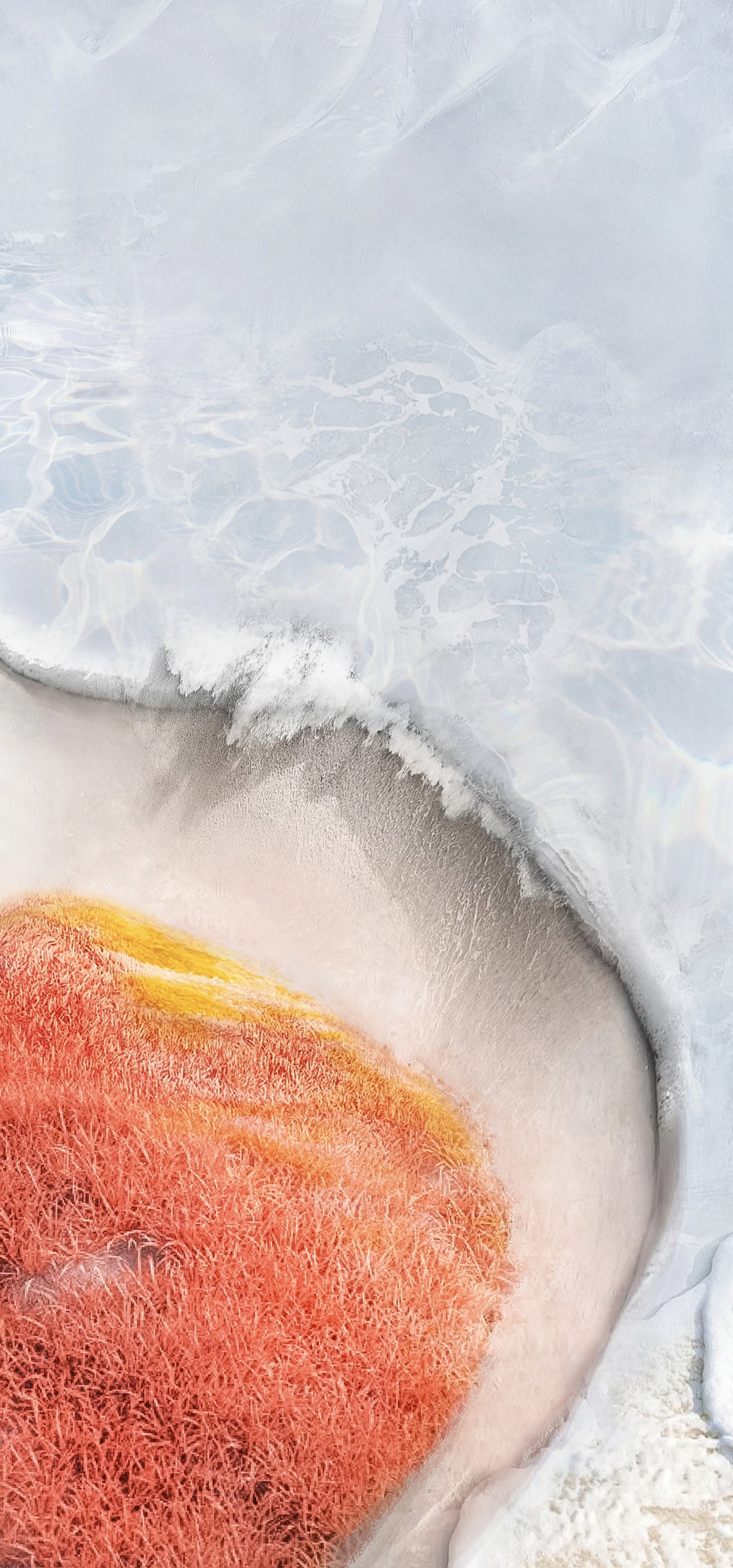 Vivo X Fold wallpaper