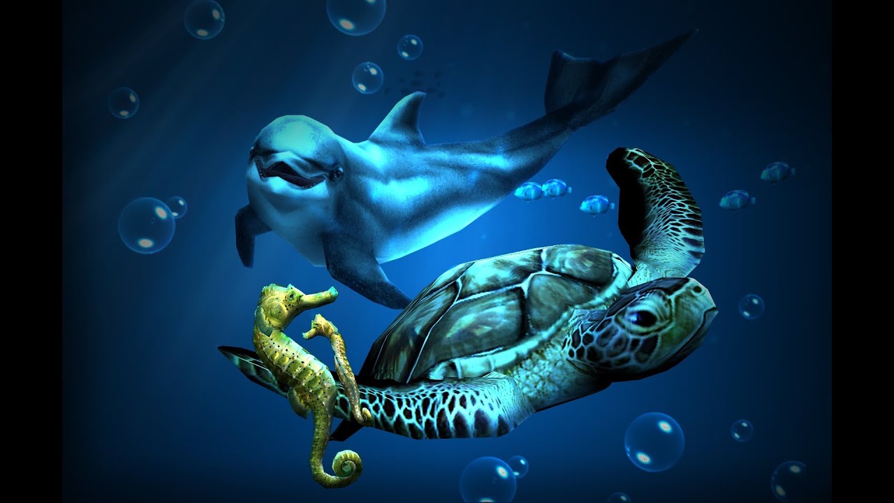 Dolphin And Sea Turtle