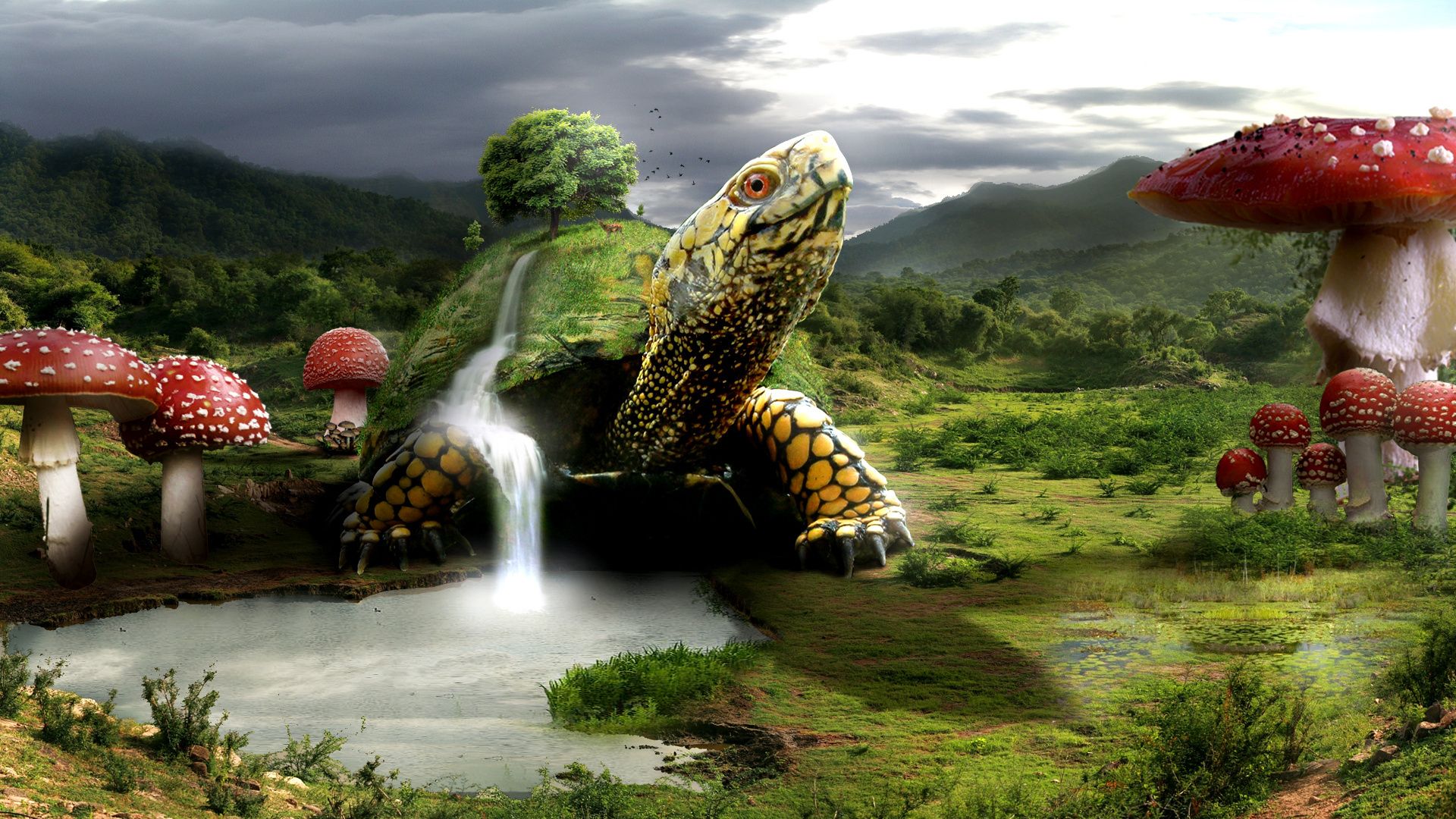 Summer Turtles Desktop Wallpapers - Wallpaper Cave