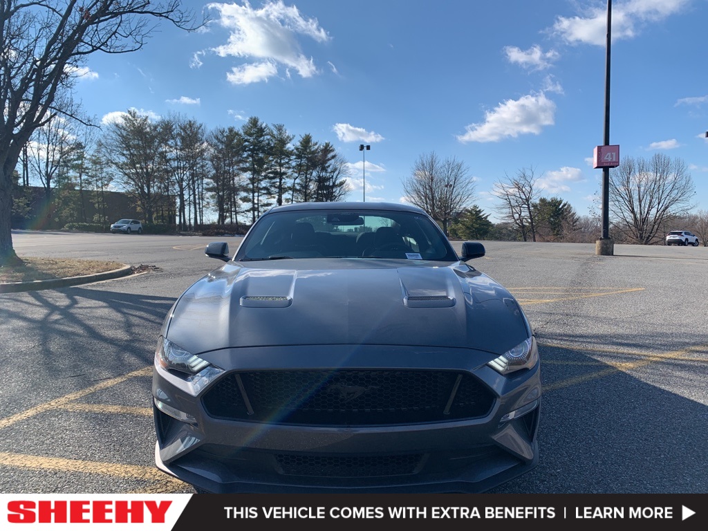 New 2022 Ford Mustang GT Fastback Fastback in Richmond #C5110248. Sheehy Ford of Richmond