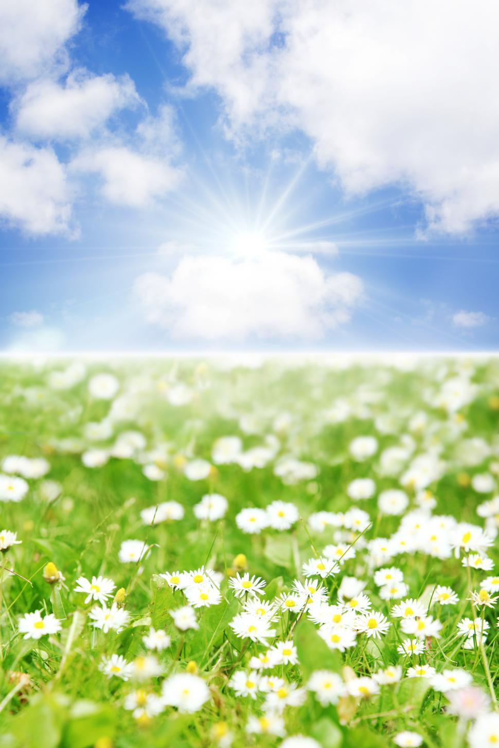 Free of Beautiful bright spring background. Download Free Image and Free Illustrations