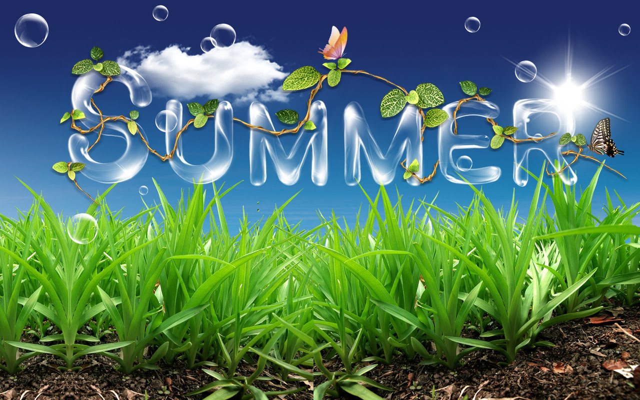 summertime wallpaper, natural landscape, grass, sky, plant, daytime, grass family, spring, lawn, flower, landscape