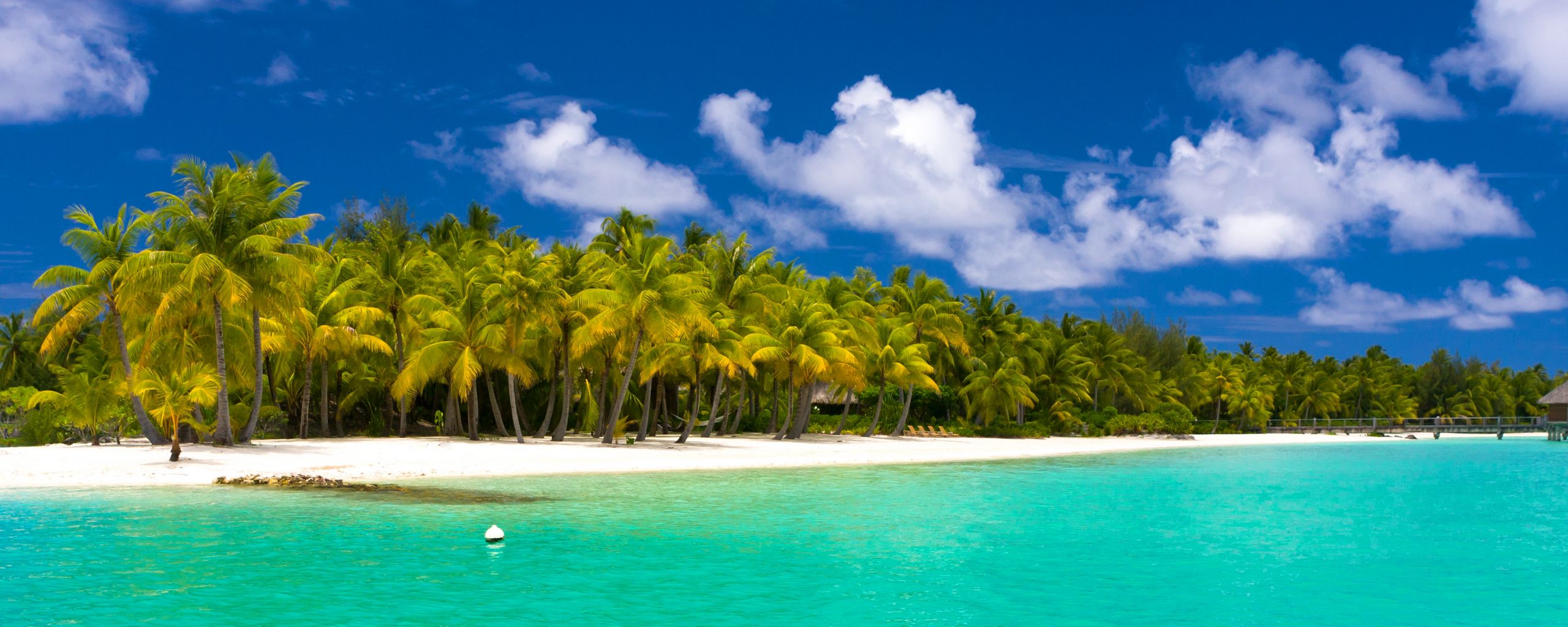 Download wallpaper 2560x1024 summer, maldives, tropical, beach, palm trees ultrawide monitor HD background