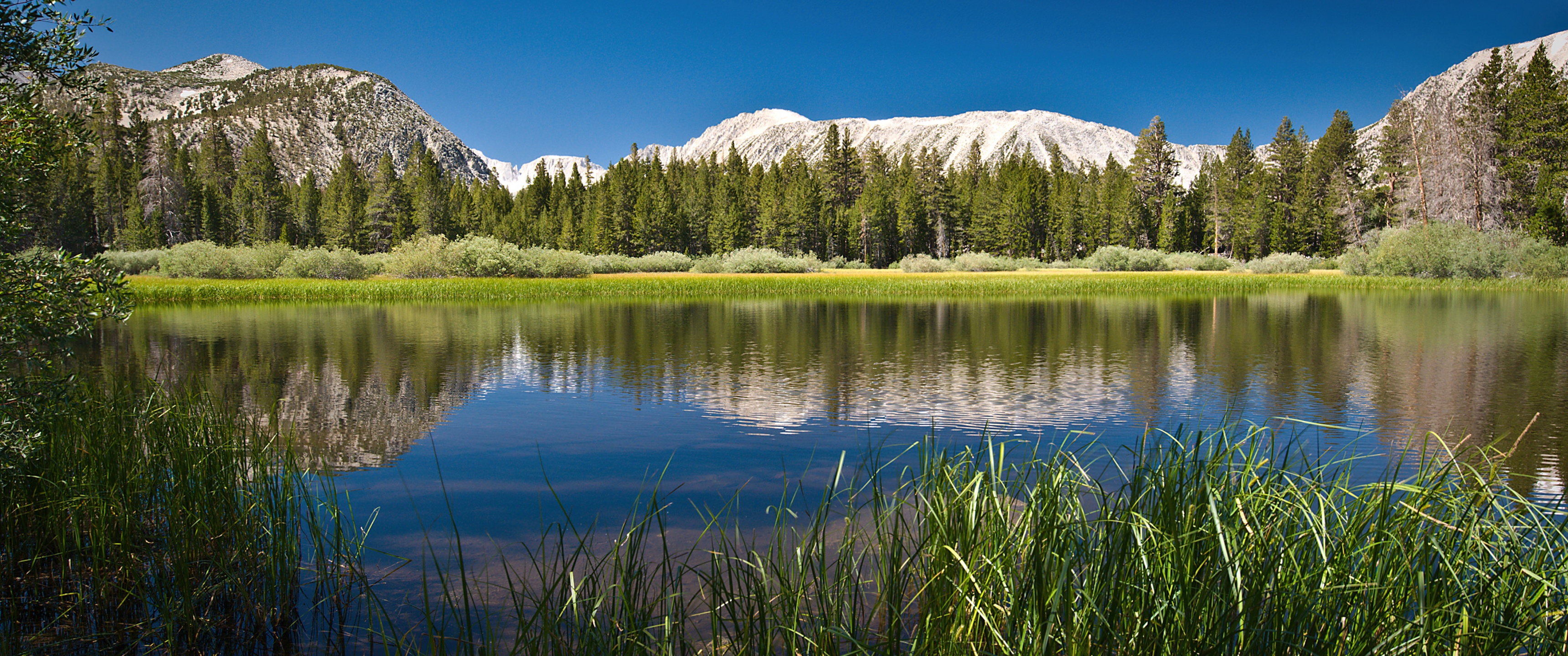 Lake Wallpaper 4K, Mountains, Forest, Nature