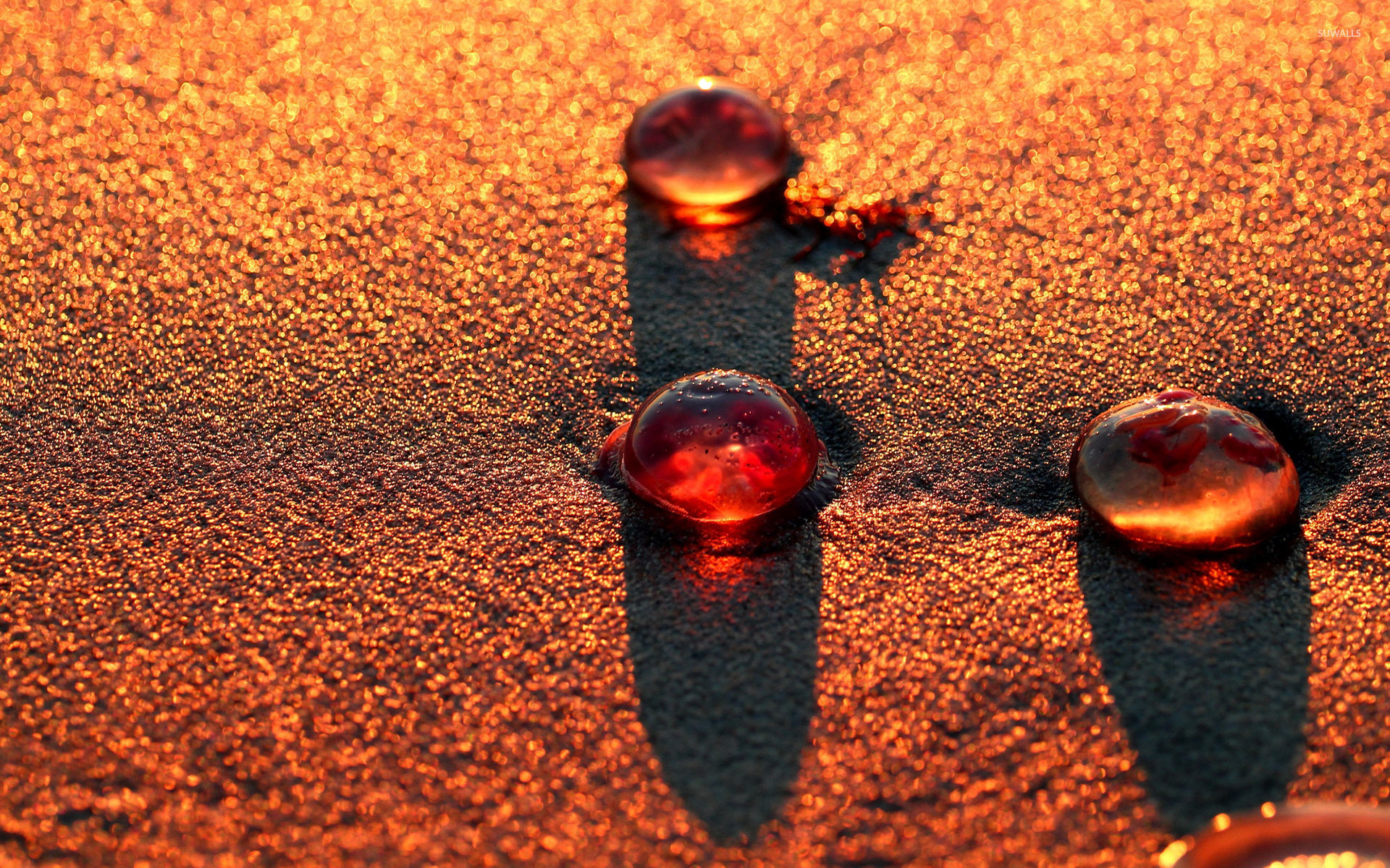 Paint drops on sand wallpaper wallpaper