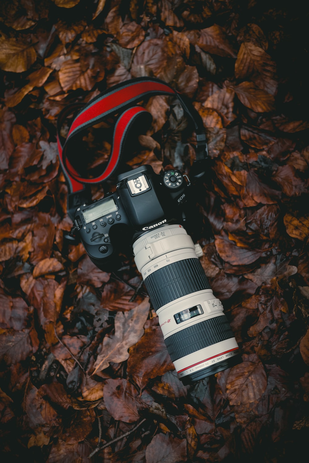 DSLR Photo [HQ]. Download Free Image