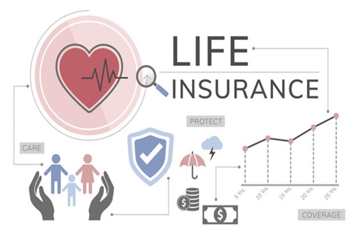 Term Vs Whole Life Insurance Policy. Which One Should You Buy?