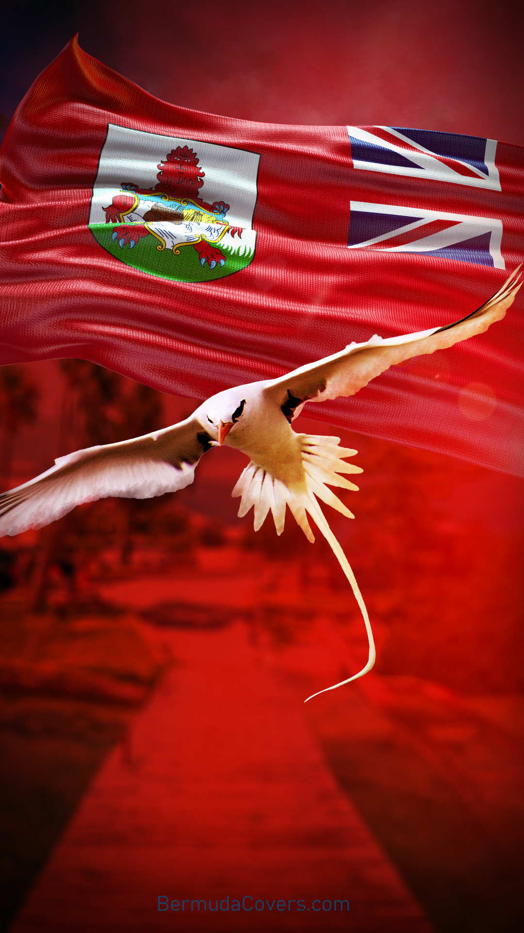 Wallpaper Wednesday: Bermuda Longtail & Flag
