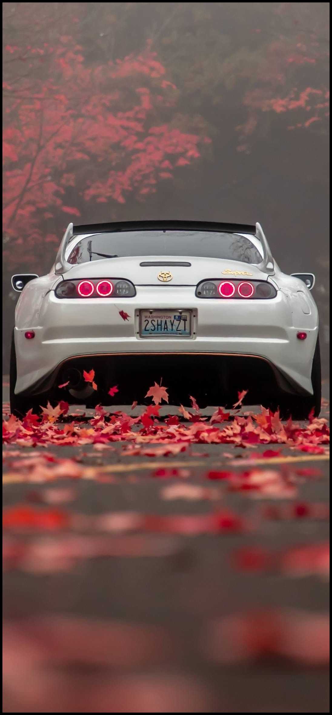 Beautiful Supra Wallpaper