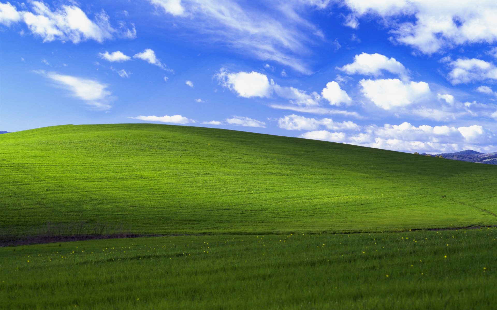 Windows XP Default Wallpaper