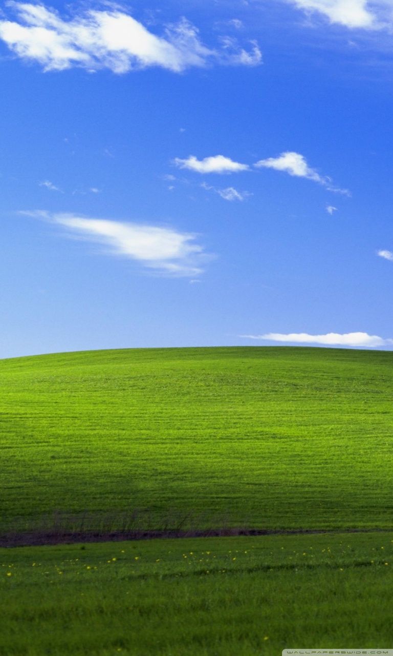 Windows XP Wallpaper Free Windows XP Background
