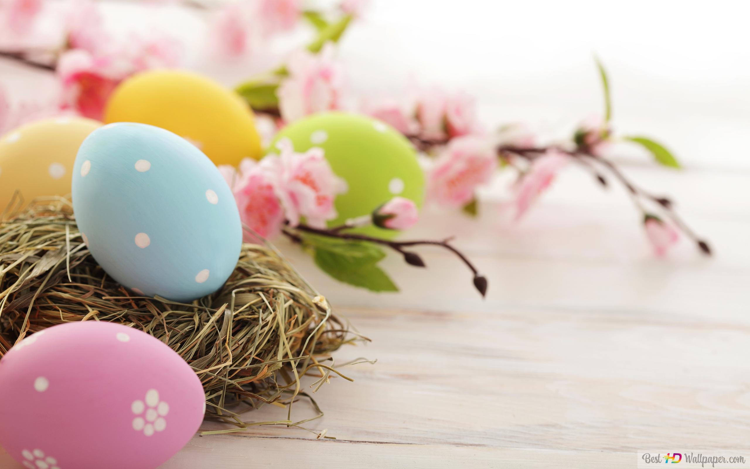 Easter feast with blue, pink, green and yellow eggs HD wallpaper download