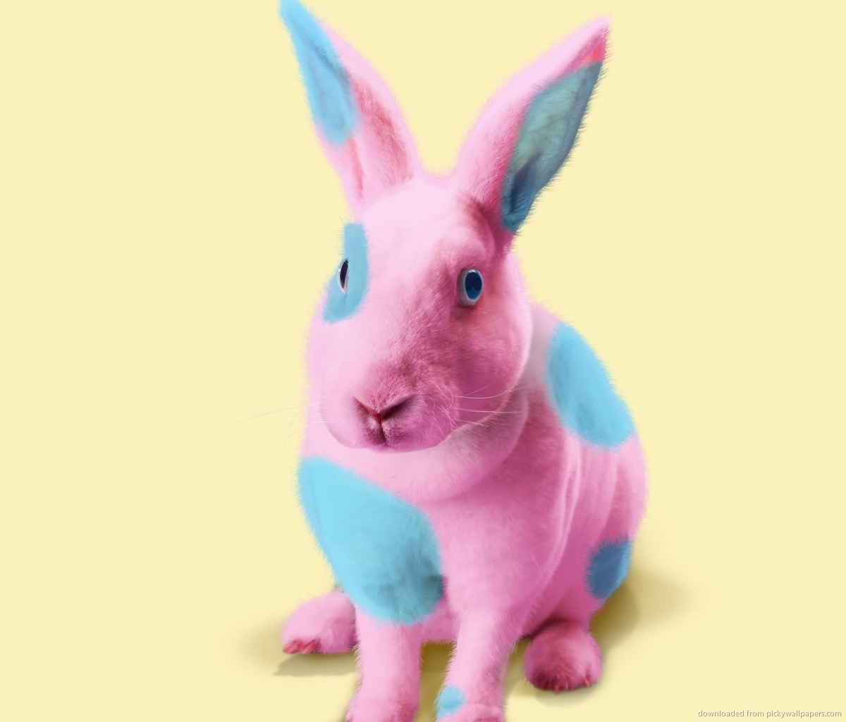FREE Easter Bunny Wallpaper in PSD