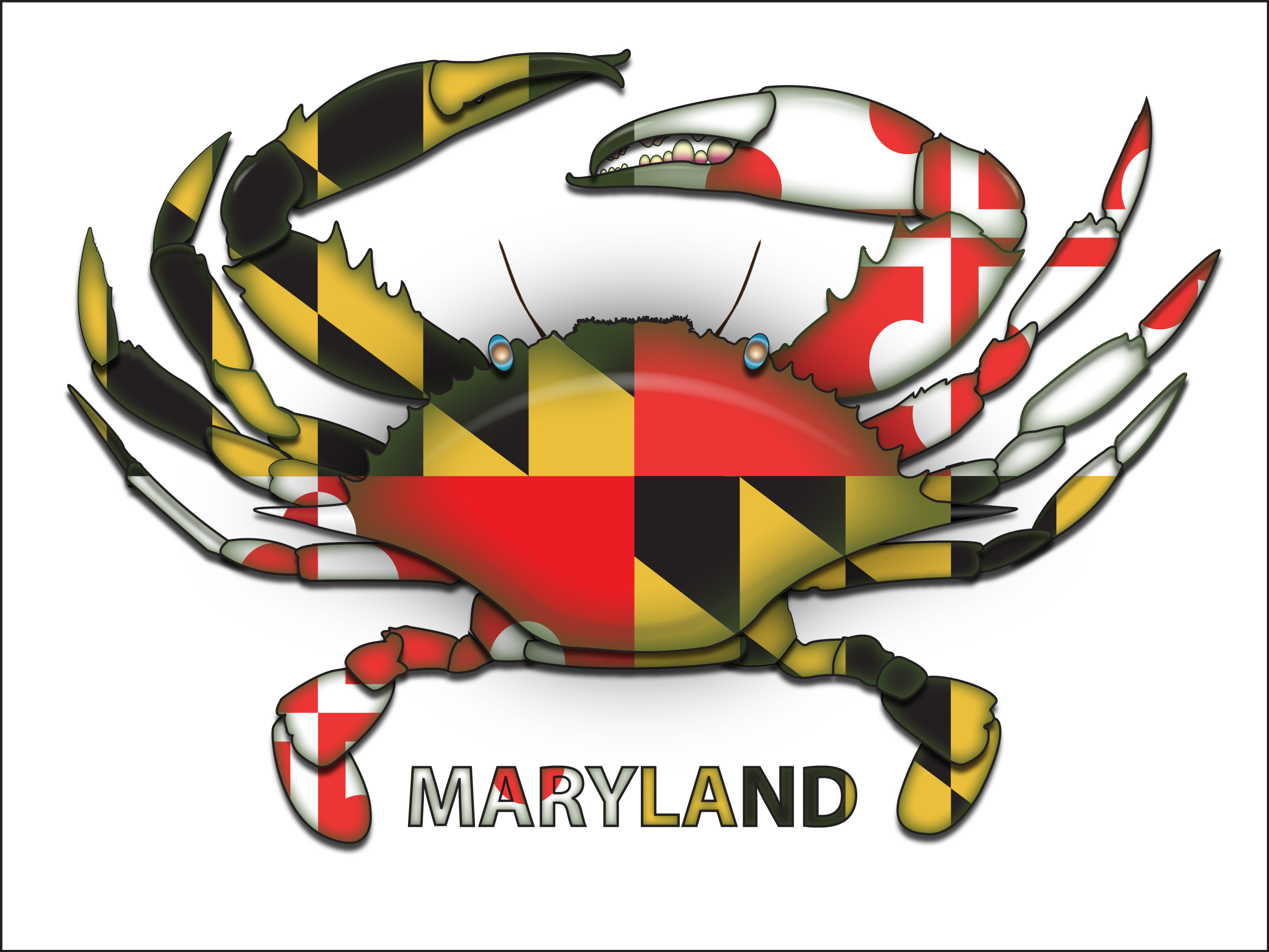 Free download Maryland Flag Design Ladies [2442x1876] for your Desktop, Mobile & Tablet. Explore Maryland Flag Wallpaper. Maryland Flag Wallpaper, Maryland Flag Desktop Wallpaper, Maryland Wallpaper