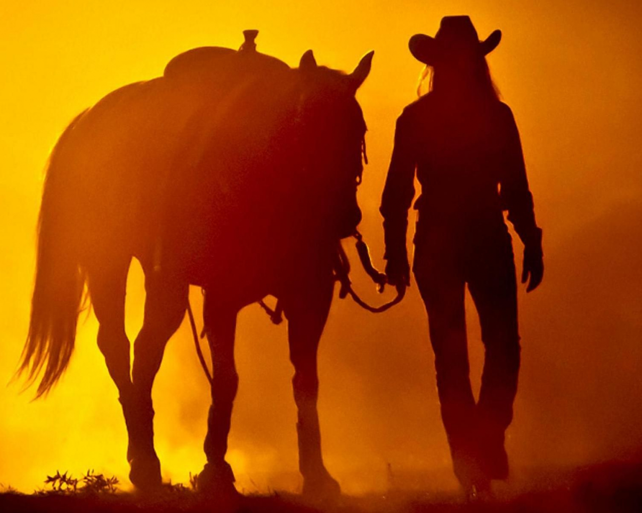 Free download 40 Cowgirls and Horses Wallpaper Download [1920x1200] for your Desktop, Mobile & Tablet. Explore Cowgirl Wallpaper. Cowgirl Wallpaper