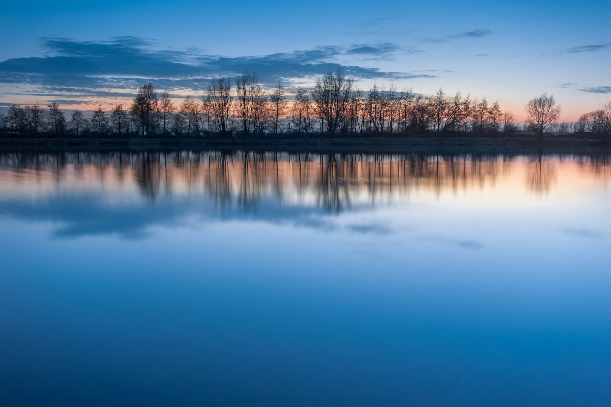 Trees row lake water quiet reflection blue sky clouds evening sunset wallpaperx1365