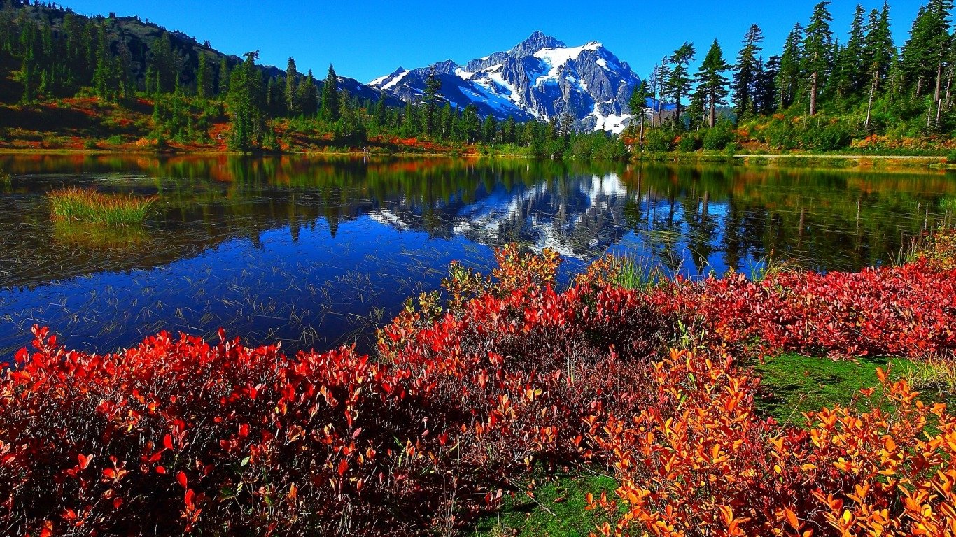 Quiet Reflection Wallpaper and Background Imagex768