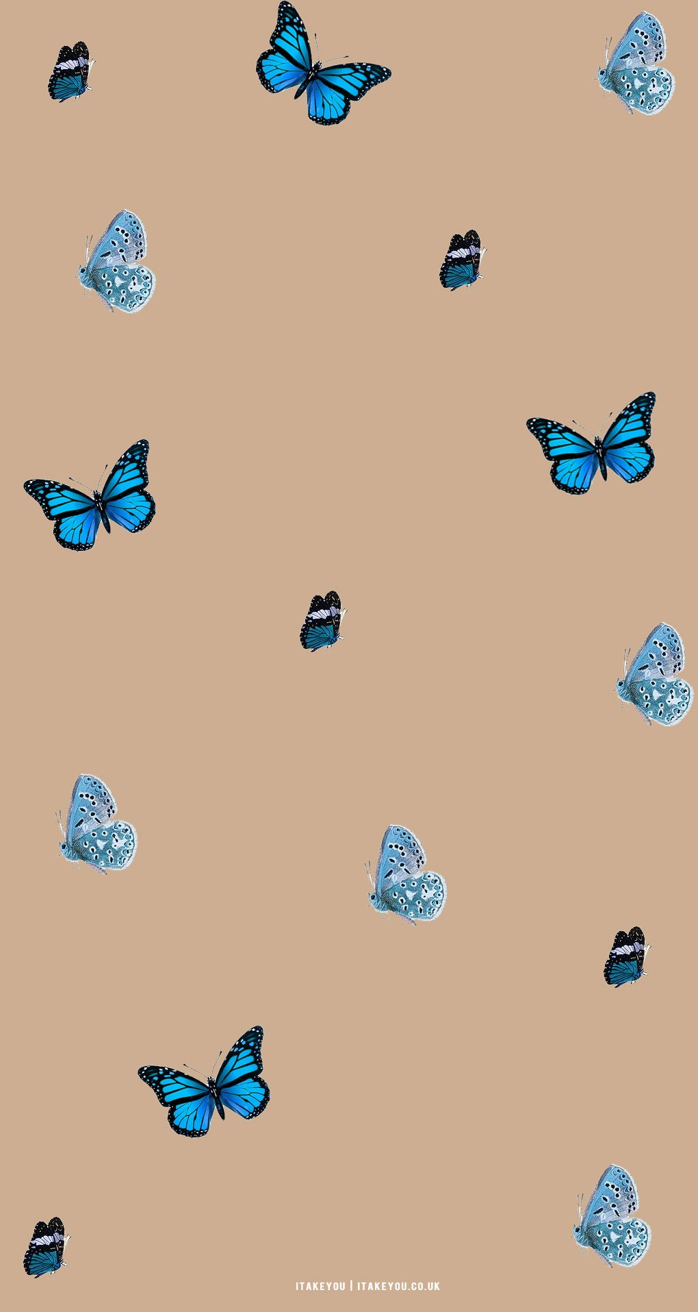 Cute Brown Aesthetic Wallpaper for Phone, Butterflies I Take You. Wedding Readings. Wedding Ideas